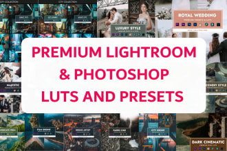 provide premium lightroom and photoshop presets and luts