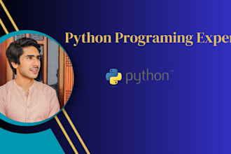 provide python programming services