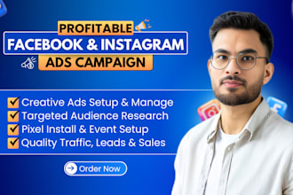 setup facebook and instagram ads campaign for sales and traffic