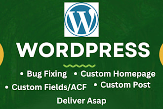 install design, redesign, or fix a wordpress website