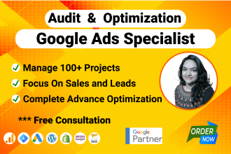 audit and optimize google ads adwords search ads PPC campaigns as SEM specialist