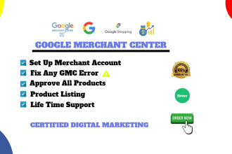 professional google merchant center setup and optimization