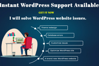 develop, troubleshoot, and fix wordpress websites