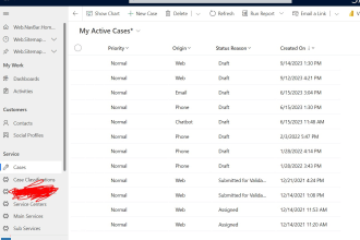customize dynamics365 CRM power apps and I respect your budget