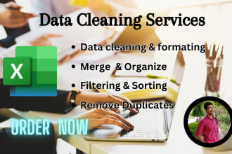 do excel data cleaning, data merge, formatting, sort split