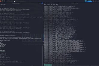 do a penetration test for your website