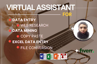 do excel data entry, web research, copy paste, data collection