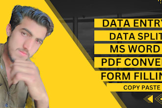 do data entry,copy paste and excel data split