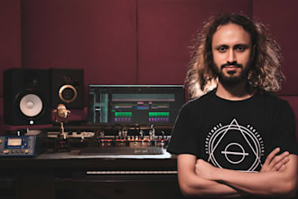 professionally mix and master your song to industry standard