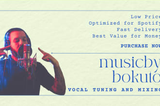 professionally tune and mix your vocals