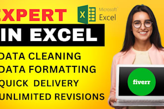 clean,organiz, merge and formate excel data