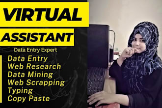 do urgent and actual data entry web research in low price
