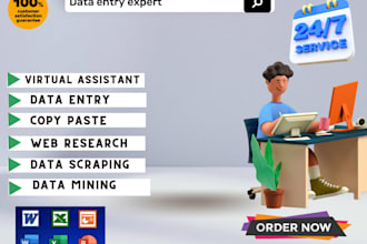 do fast data entry, typing, copy paste and web research work