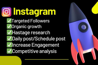 do fast instagram organic growth, foll0wer and increase engagement