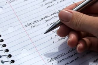 write paragraphs, essays, articles, case study, reports, summary