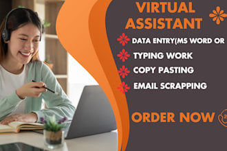 do data entry, copy paste, web research, email extractor, and excel data entry