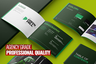design professional brand identity guidelines or style guide