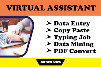 be your virtual assistant for data entry,  copy paste, typing services
