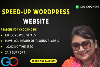 set up wp rocket and gtmetrix plugins using premium versions