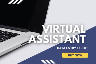 do super fast excel data entry, copy paste work in 8 hours