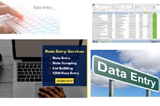 be your data entry operator