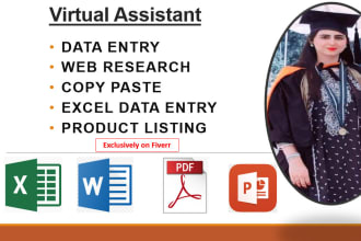do data entry, copy paste, web research, excel data entry