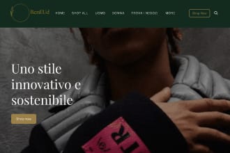 create an attractive professional business wordpress , weebly website or estore