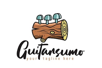 do make an modern custom guitar logo