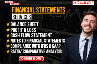 create financial statements , profit and loss and balance sheet expert