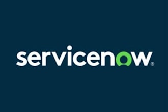provide services as servicenow developer, architect and administrator