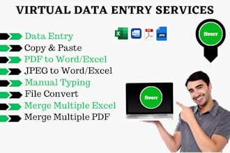 do data entry online ,offline, PDF to word, typing, excel