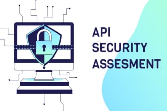 do API security assessment and website pentesting