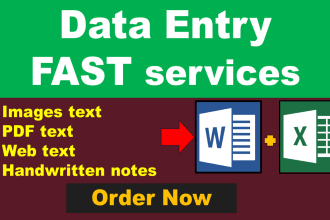 do data enrichment and data entry with fast service