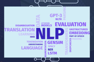 build expert nlp solutions for customized nlp tasks