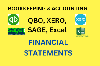 prepare profit and loss, balance sheet, financial statements