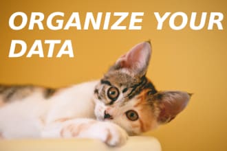 clean up, consolidate, format and convert your data