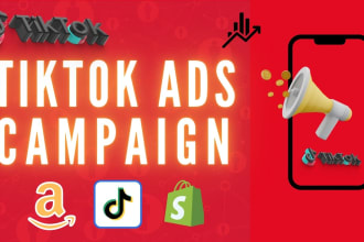 manage or run ecommerce, shopify tiktok ads compaign