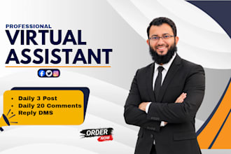 be your virtual assistant for facebook, twitter or instagram