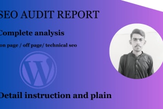 provide  website SEO audit report, competitor site analysis
