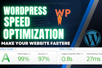 do wordpress speed optimization for google page speed