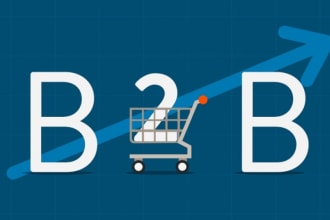 create b2b ecommerce website using woocommerce