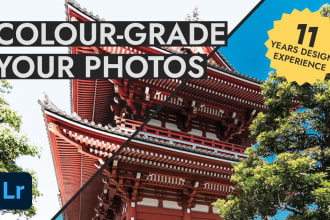 professionally color grade your photos to industry standards