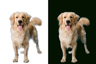 do image background removing