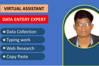 do accuarte and fastest data entry, copy paste , pdf to excel web scraping