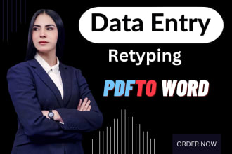 do convert pdf to excel and word, image to word and excel, retyping
