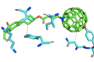 do drug designing and MD simulation