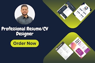 provide an ats friendly resume or CV in 24 hours