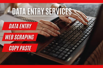 do any type of data entry, web scraping, data mining and web research
