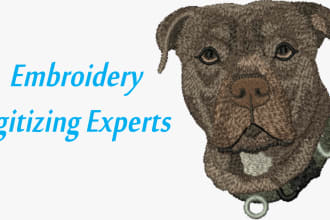 make custom embroidery designs, expert digitizer