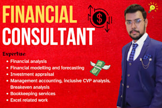 provide expert financial analysis, projections, and finance assignment help